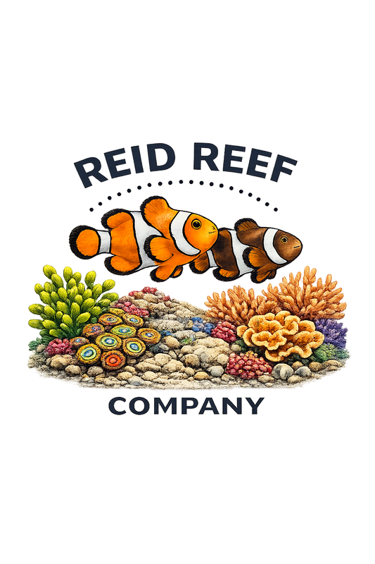 Reid Reef Co. Gift Card